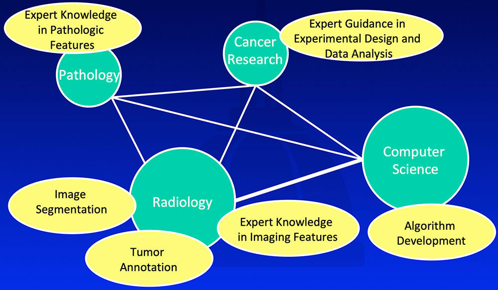 Multidisciplinary Team Approach