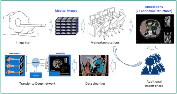 Data Collection/Segmentation Process and Workflow
