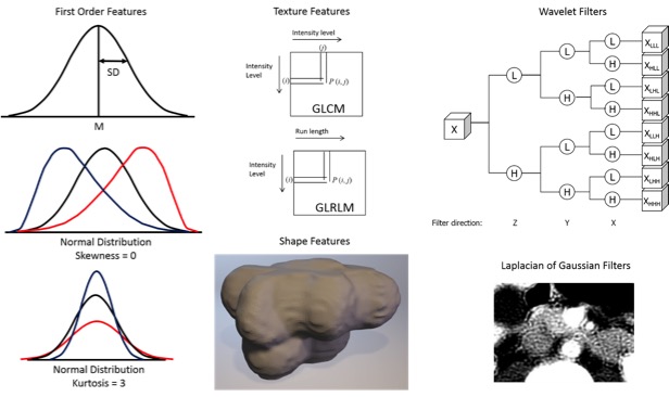 Radiomics