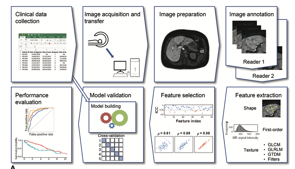 AI in Radiology: Current Status