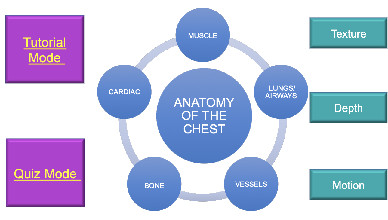 Cinematic Rendering of Chest Anatomy
