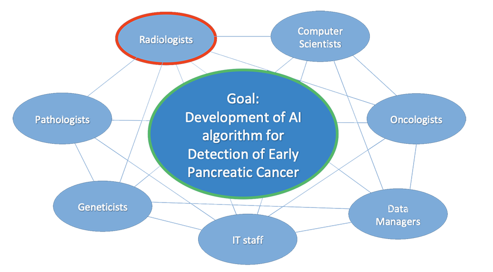 Multidisciplinary Approach in Development of AI Algorithm for Detection of Early Pancreatic Cancer 